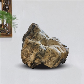   【来宾卷纹石 】