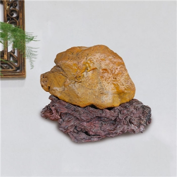 【金猪纳福】黄蜡石配荔枝木底座古玩摆件