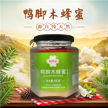 朱桥记鸭脚木蜂蜜500g