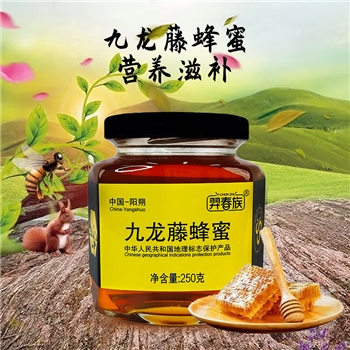 九龙藤蜂蜜羿春族250g