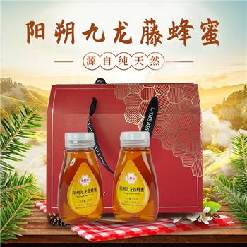 朱桥记九龙藤蜂蜜250g