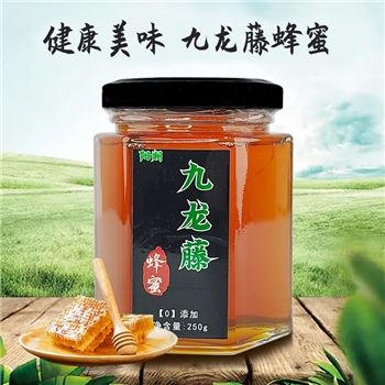 桂林丹比华比九龙藤蜂蜜250g198元4罐