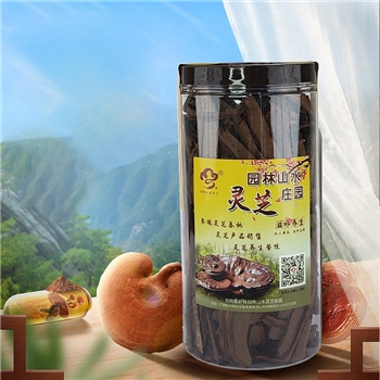 阳朔灵芝片150G（圆罐）