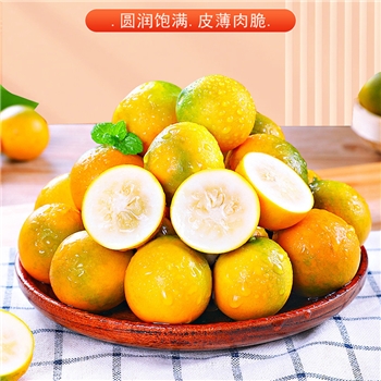 广西水果阳朔金桔皮薄多汁采摘新鲜香甜基地产品2斤